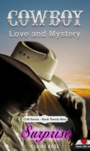 Cowboy Love and Mystery Book 29 - Surprise