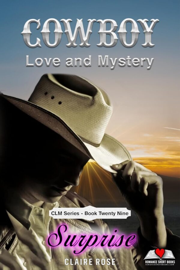 Cowboy Love and Mystery Book 29 - Surprise