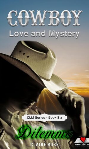 Cowboy Love and Mystery Book 6 - Dilemma